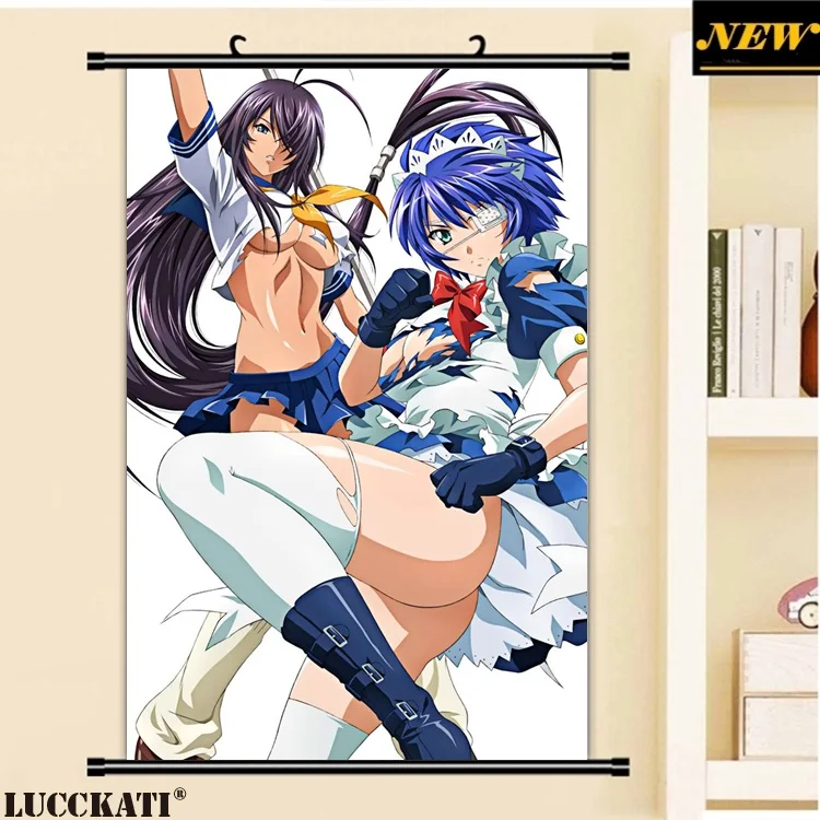 40X60 см Ikkitousen battale Vixens Shiozaki Yuji серия квитанция мультфильм аниме Настенная картина прокрутки холст живопись плакат