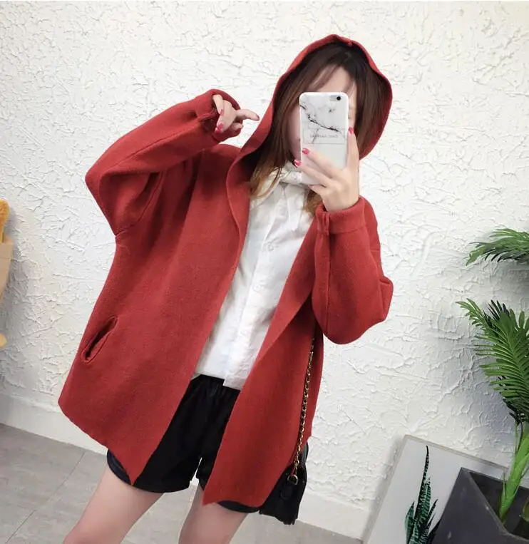 2019 Hooded Cardigan Women Knitted sweater Long Sleeve Autumn And Winter New Fashion Thick women's sweaters |