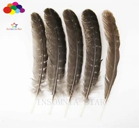 10pcs 100 natural premium pheasant feather 20 25cm8 10inch brown tail beautiful for diy