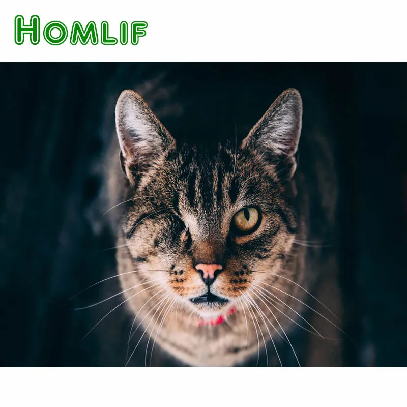 HOMLIF Алмазная вышивка животных Одноглазый кошка полный горный хрусталь 5D сделай