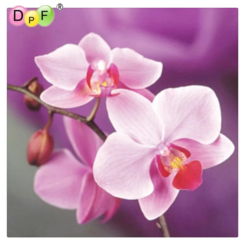 DPF ручной работы рукоделие поделки алмазов картина наборы Алмазная вышивка