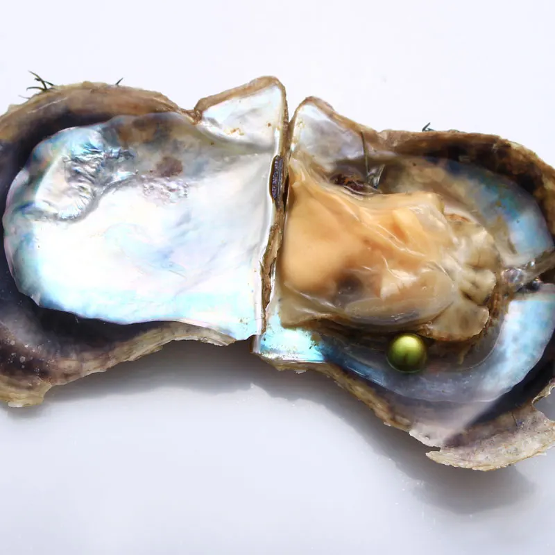 10 шт. Akoya Oyster с одной красивой оливково-зеленый 6-8 мм Круглый AAA жемчуг в вакуумпосылка, цена, лучший подарок