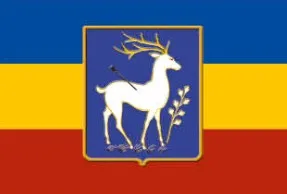 Yehoy полиэстер висячий 90*135 см русский Дон казак флаг - Цвет: B