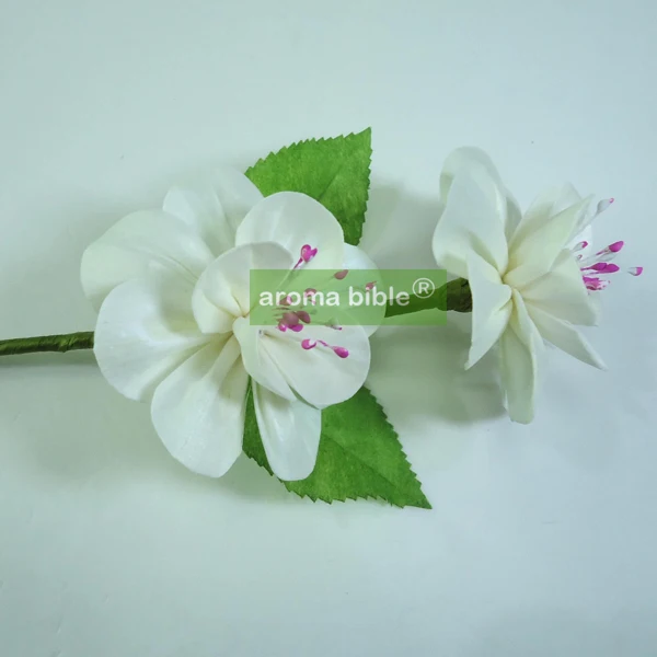 

1000 pcs / lot Sola wood Flowers for home fragrance diffuser With Rope or rattan reed sticks