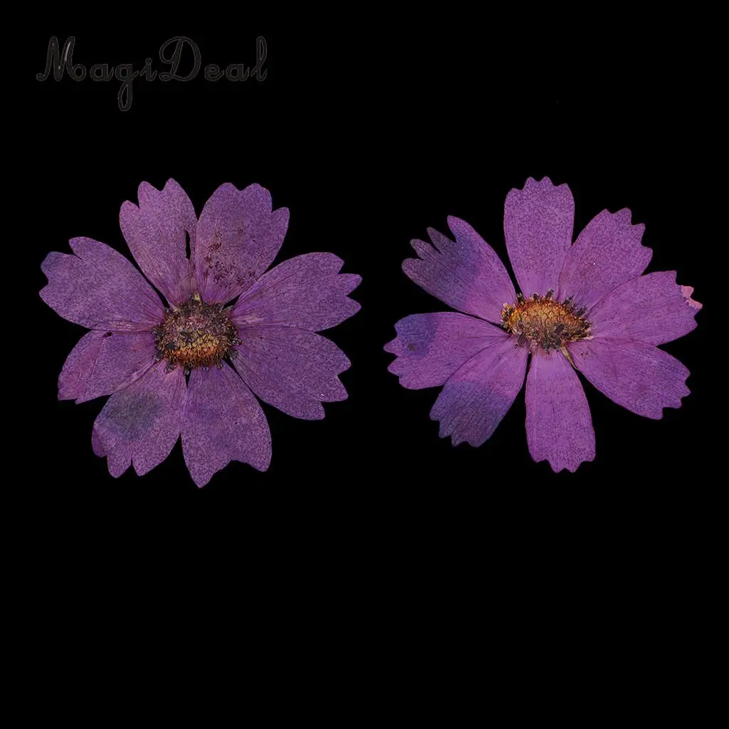 20 шт. прессованные настоящие сухоцветы фиолетовые бусины для изготовления