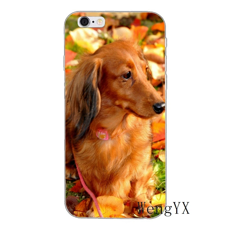 Dachshund милый собачий силиконовый чехол для телефона huawei P30 P20 P10 P9 P8 pro Lite plus P Smart Mini GR5 - Цвет: Dachshund-dog-A-05