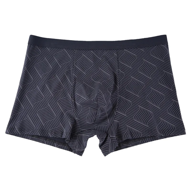 

4XL 5XL 6XL, 2019