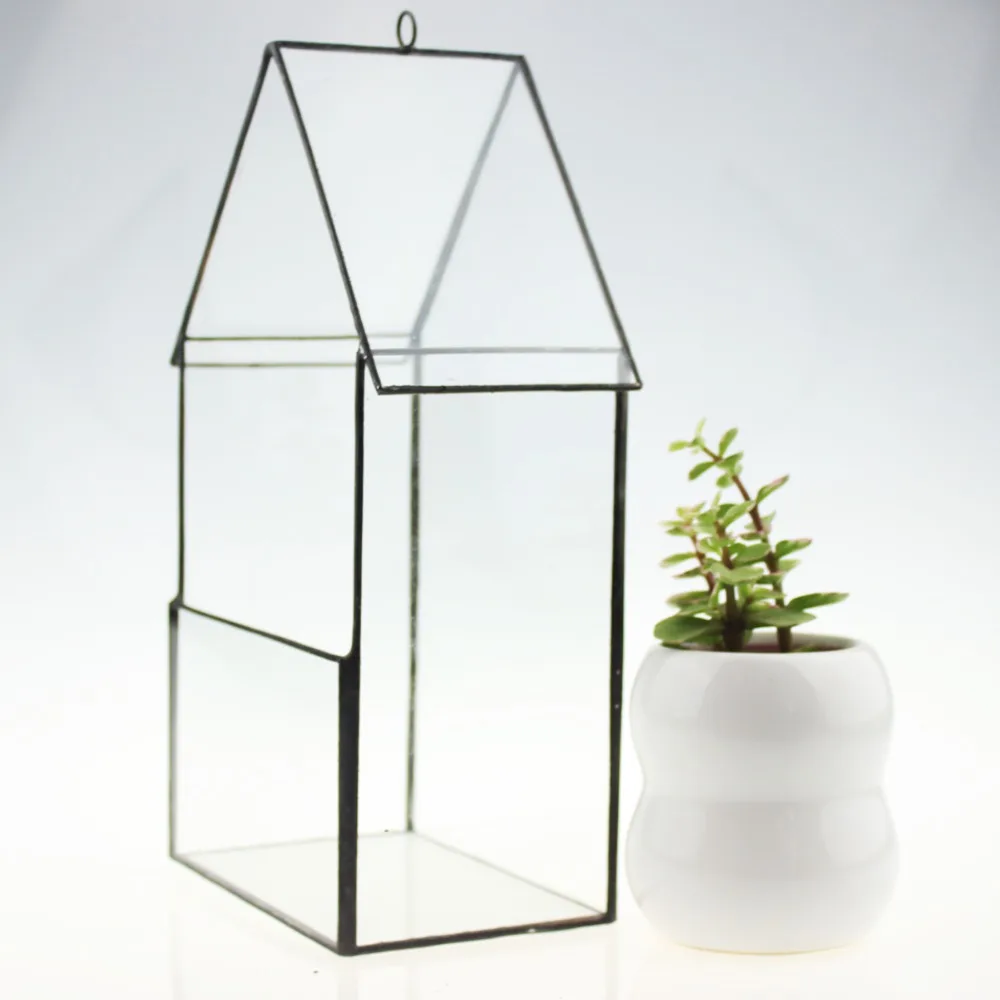 Бонсай бесплатная доставка 25 см Высота крыша прозрачный стеклянный