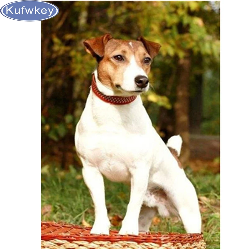 Полная Алмазная вышивка животное Джек Рассел терьер собака 5 алмазных картин