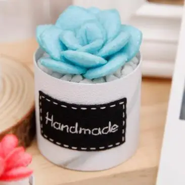 Красивые суккулентные растения, шерсть, набор для рукоделия, войлок, игла для войлока, украшение, ремесло, резка, войлок, сделай сам, ремесло - Цвет: 10