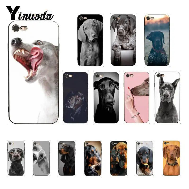 Yinuoda такса собака добермана лицевая крышка телефона для iPhone 8 7 6 6S 6plus X XS MAX 5 5S SE XR 11