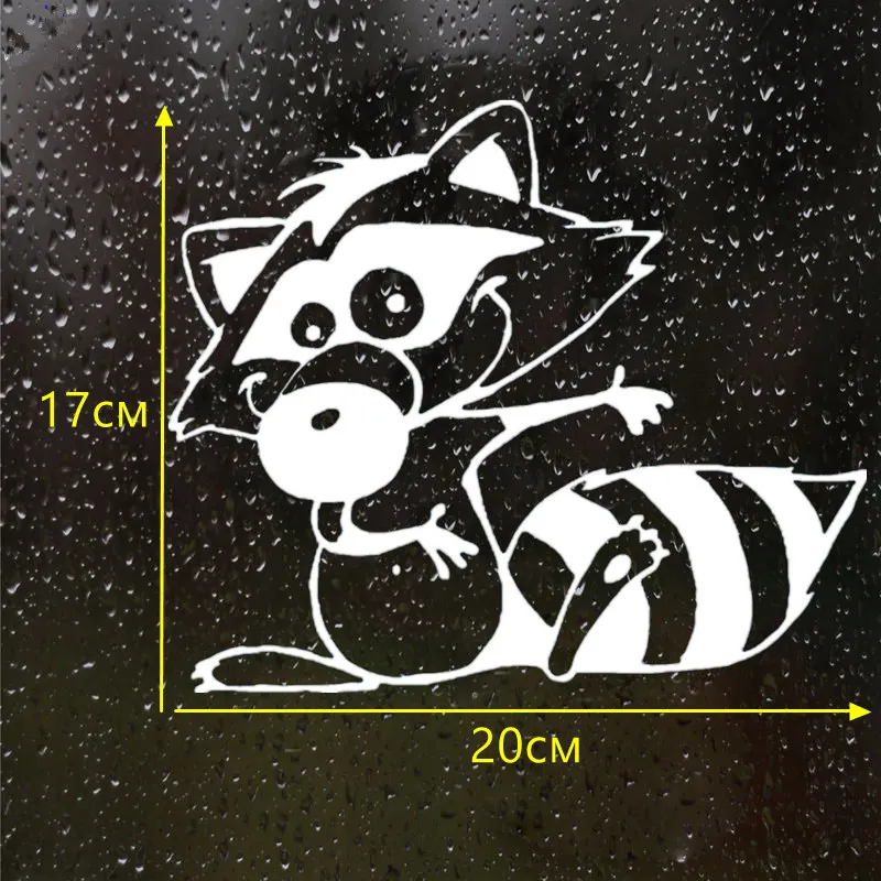 CS 836# наклейки на авто Енот водонепроницаемые машину наклейка для автонаклейка
