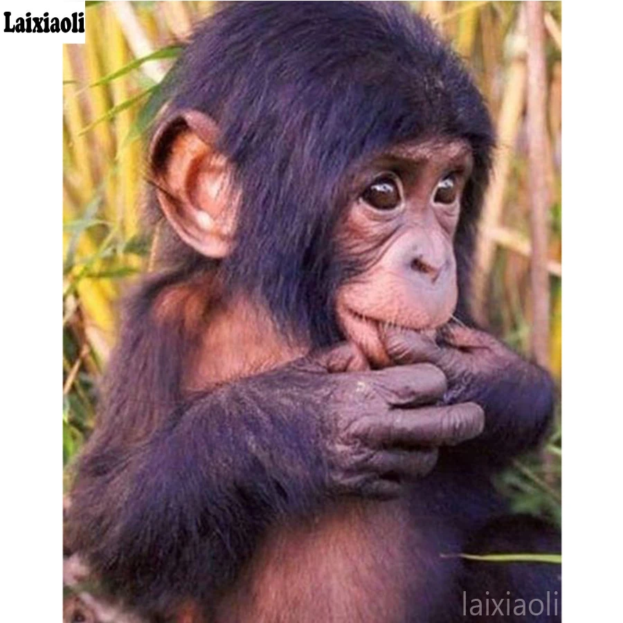 

Полноразмерная Алмазная 5D картина «сделай сам», Маленькая обезьяна, вышивка крестиком, квадратные алмазные вышивки, шаблоны, круглая Алмаз...