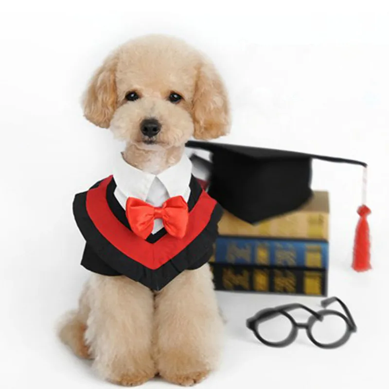 Костюм собаки для выпускного церемонии смешная собачка одежда Dr. ролевых игр
