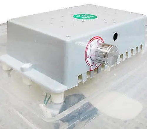 Мини промышленный инкубатор Интимные аксессуары цифровой Температура и