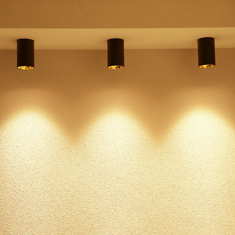 

LED Ceiling Lights Single spot LED lamps illumination 12W led ceiling light Aluminum lamp body decorations Lighting for home