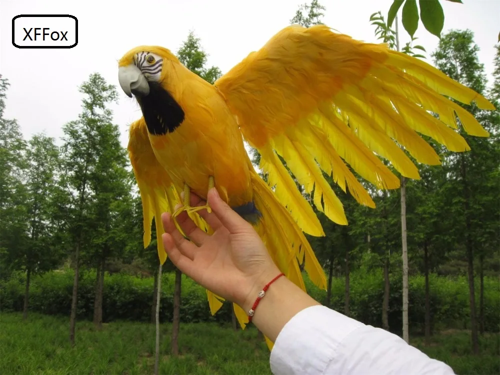 big real life yellow parrot model foam&feather simulation wings bird gift about 45x60cm xf0242 | Дом и сад