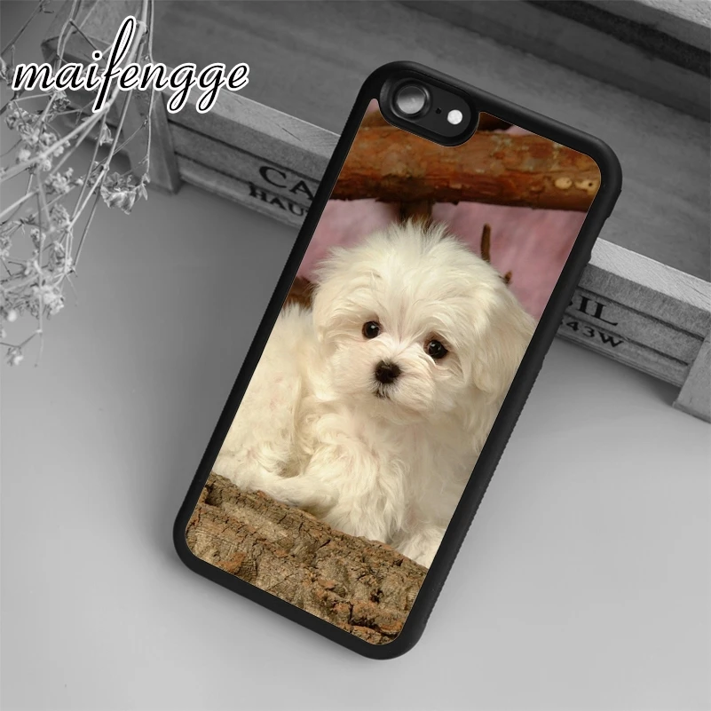 Maifengge Bichon Frise Dog чехол для iPhone 5 6 6s 7 8 plus X XR XS max 11 12 Pro Samsung Galaxy S7edge S8 S9 S10|case for iphone|dog