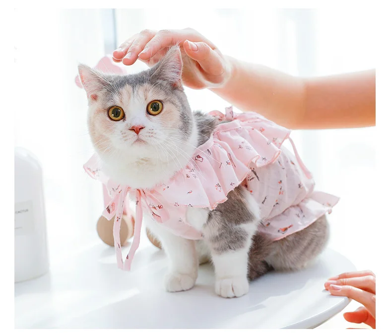 Hoopet одежда для домашних животных, котов, пальто для собак, костюм плюшевого медвежонка, щенка, маленькой собаки, платье, одежда для кошек