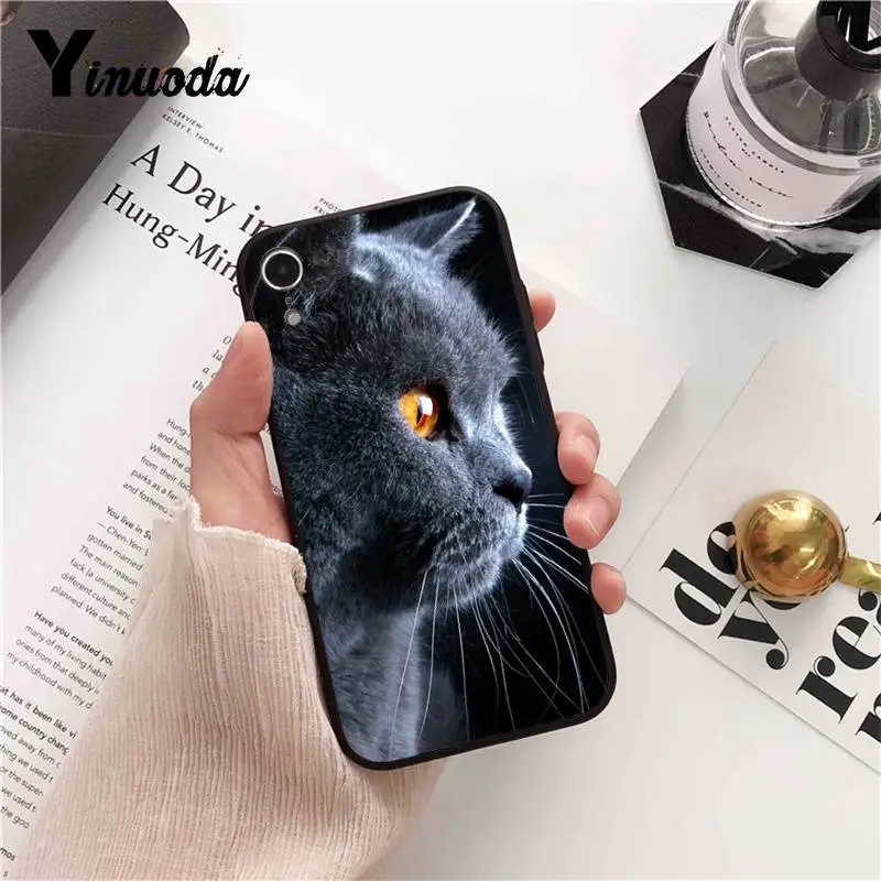 Yinuoda Британский короткошерстный чехол для iPhone 8 7 6 6S 6Plus X XS MAX 5 5S SE XR Fundas Capa 11 pro max |