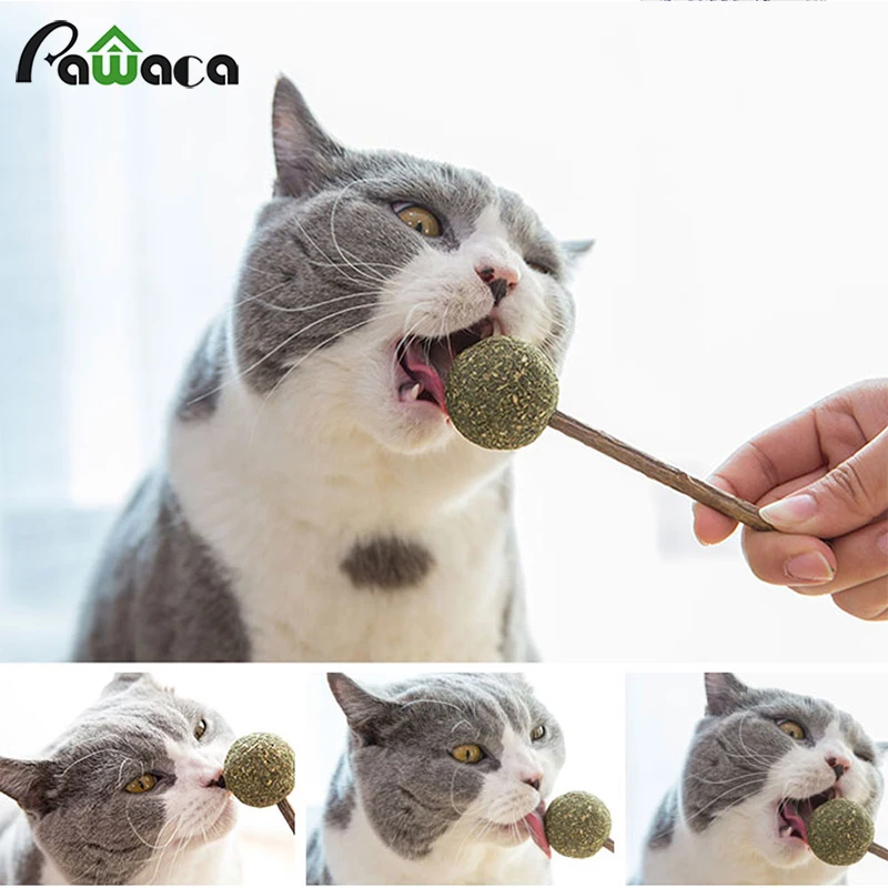 Pawaca 1 шт. кошка игрушка натуральный кошачий леденец угощения для кошек с