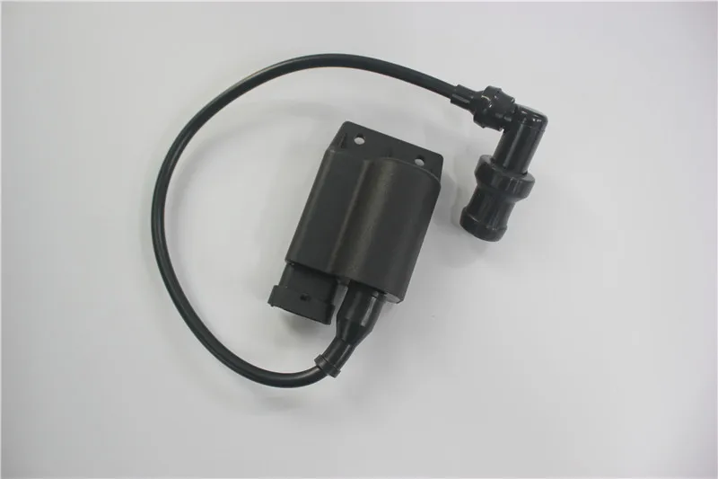 Motorcycle Ignition Coil for PIAGGIO GY6 Vespa lx50 50cc 100cc GY6 SCOOTER BYQ100T FLY50 FLY BYQ100T-2 CDI Box accessories