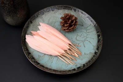 light pink Ins/стильный реквизит для фотосессии новорожденных детей; студийный реквизит с разноцветными перьями для фотосессии младенцев; аксессуары для фотосессии; 50 шт - Цвет: light pink