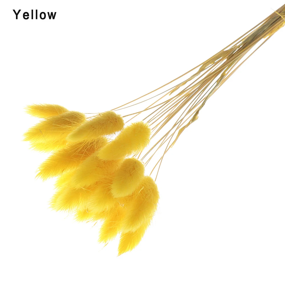 yellow Новинка, 20 шт., кролик, хвост, трава, Натуральные сушеные цветы, искусственные украшения, Цветочная композиция, лагурус оватус, настоящая трава, букет, реквизит - Цвет: yellow