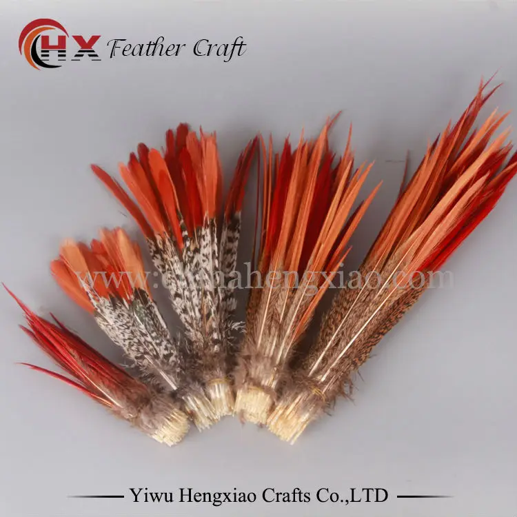 10 шт. натуральные перья фазана 5 размеров|lady amherst|feather plumeslady amherst pheasant |