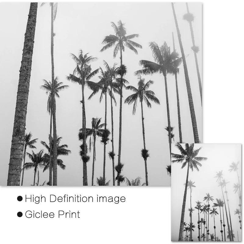 Современные картины пляжные художественные принты Пальмовые Листья холст