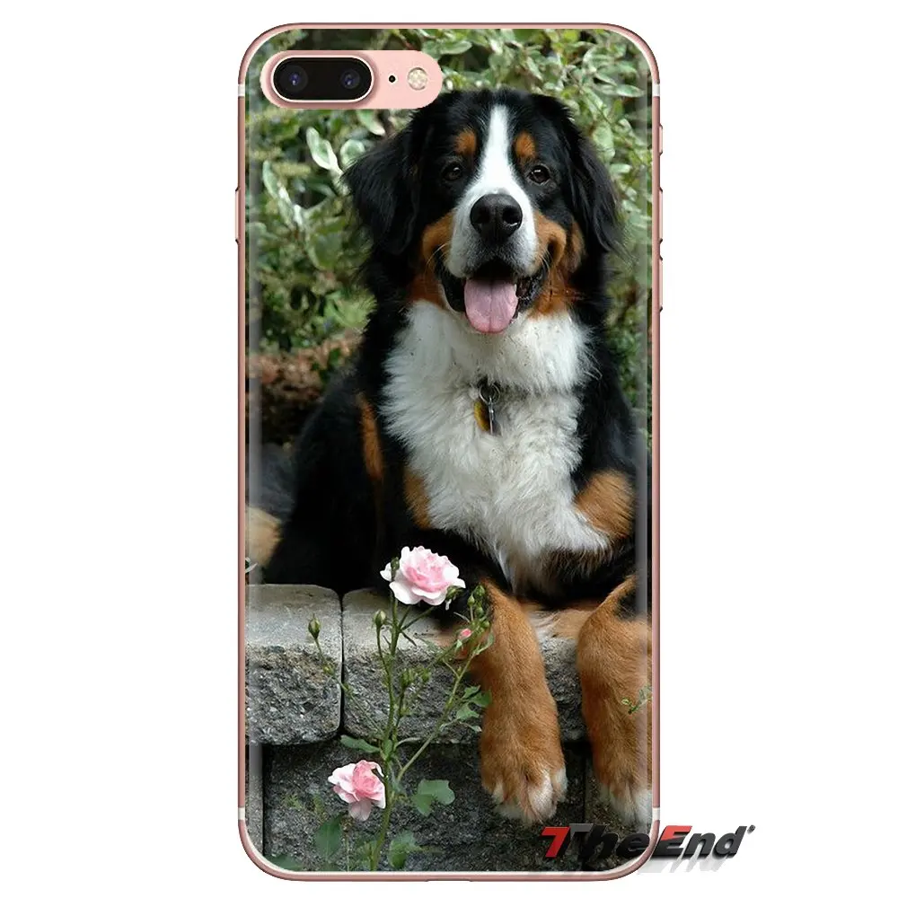 For Xiaomi Mi4 Mi5 Mi5S Mi6 Mi A1 A2 5X 6X 8 9 Lite SE Pro Max Mix 2 3 2S Bernese Mountain Dog puppy Berner Mobile Phone Case |
