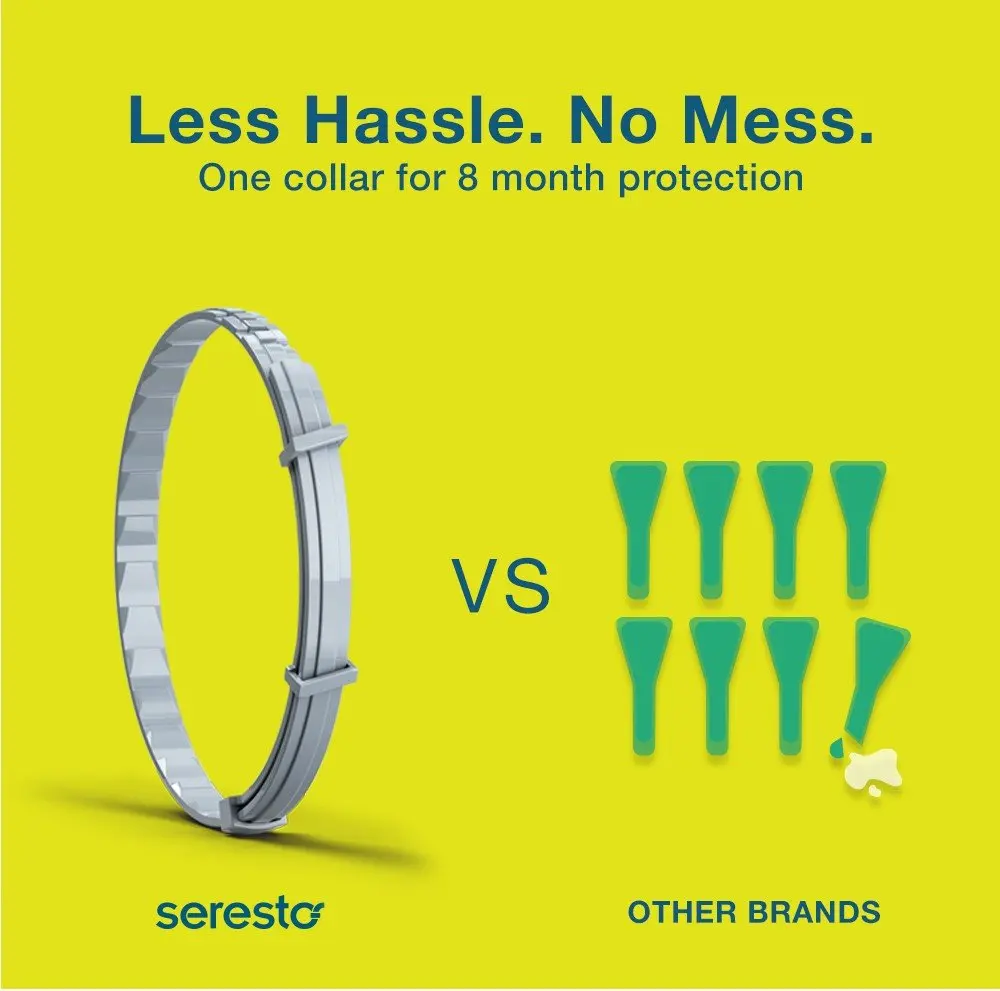 Подлинный ошейник Bayer Seresto 8 месяцев для предотвращения блох и клещей для кошек