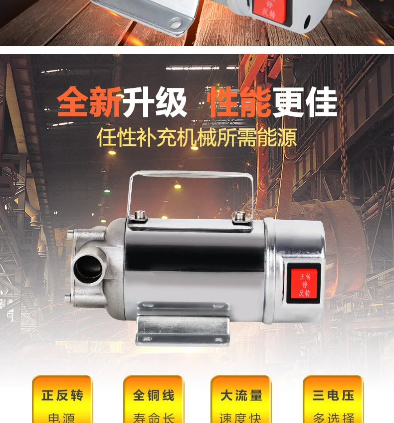 220 V/24 V/12 V Портативный самовсасывающий насос для дизельного масла