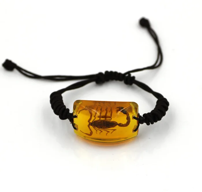 Браслет с насекомыми настоящий образец насекомых Скорпион король безопасный