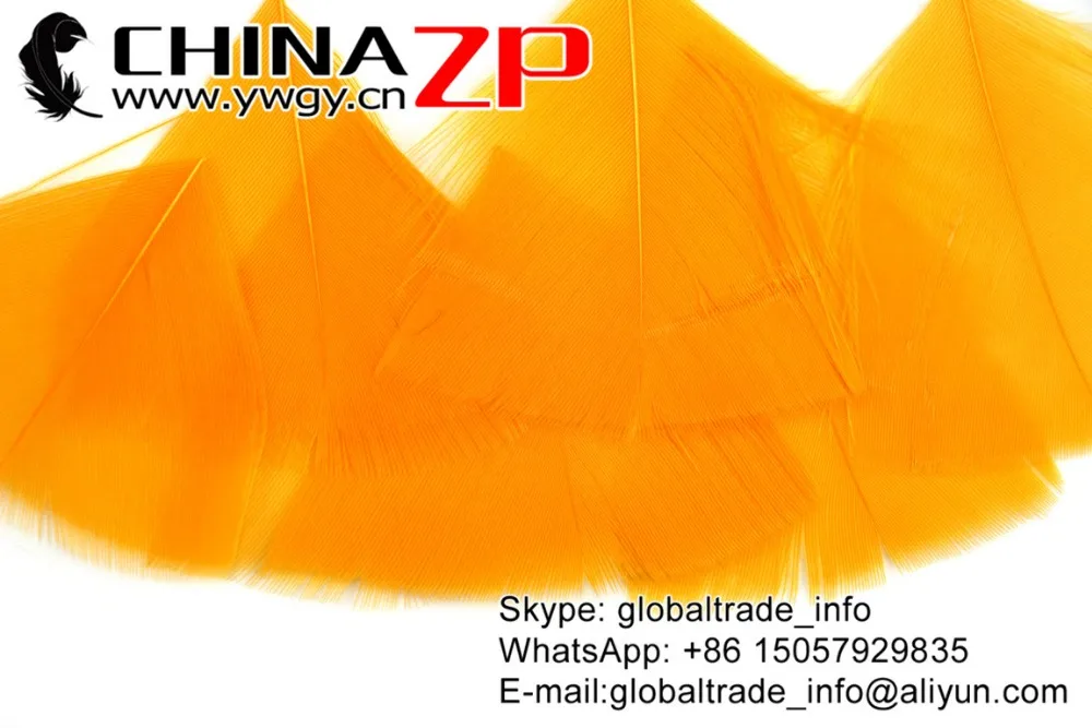 CHINAZP Factory 3~7cm 100Pcs/lot High Quality Dyed Golden Turkey Feathers Petal Trimmed Wholesale for Craft | Дом и сад