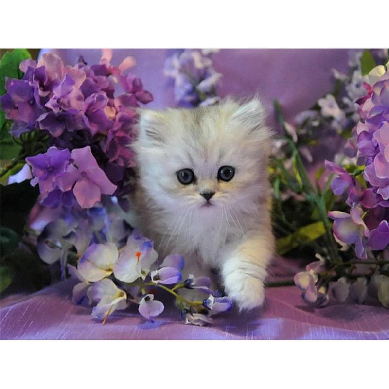 

YIKEE Cat and Flower Diamond Painting Full Square DIY Diamond Painting Diamond Mosaic Rhinestones Home Decor k018