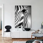 Черно-белая африканская Зебра, фотообои с рисунком животных, картины на холсте для гостиной, домашние украшения