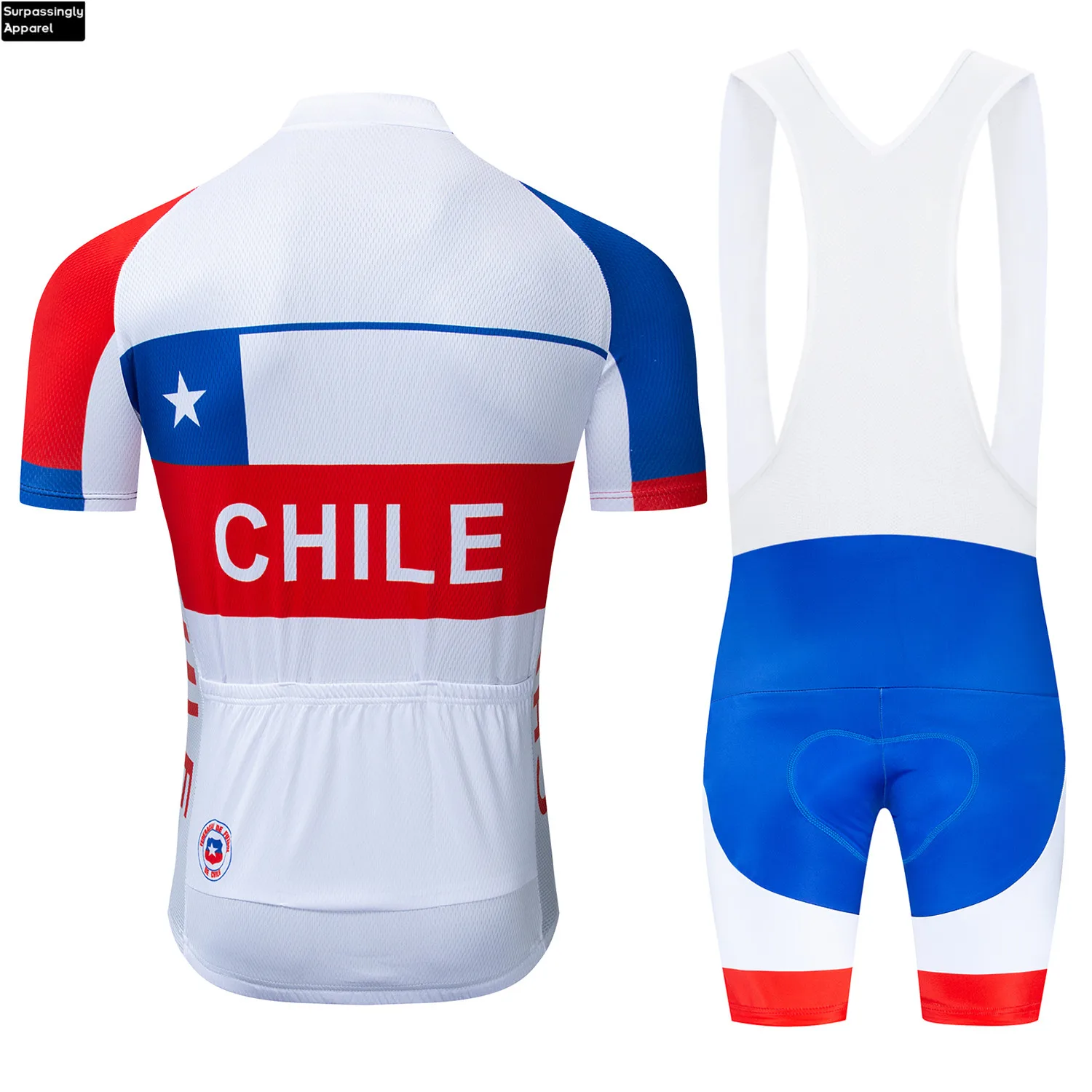 Pro Team CHILE велосипедная майка 2019 набор для велоспорта мужчин MTB Ropa Ciclismo дышащие