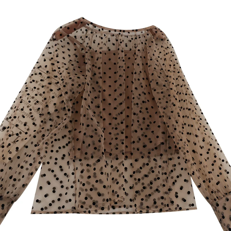 Прозрачная женская блузка в горошек топы стиле бохо белая рубашка с круглым