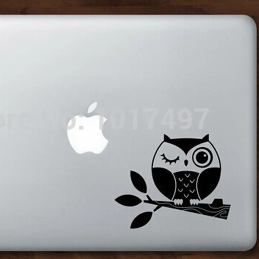 Малый размер с милой совой наклейки винил Сова на Branch для девочек Ноутбук