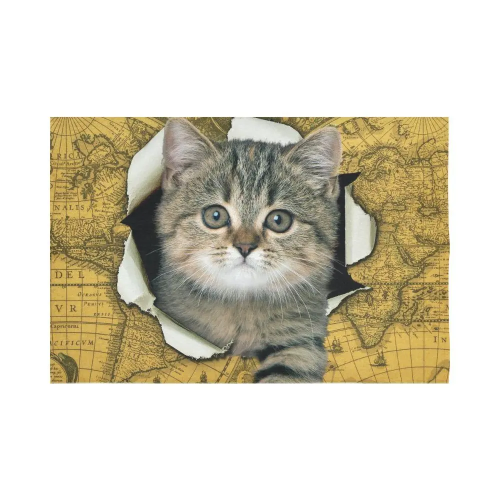 Теплые Tour животных стены Книги по искусству Домашний декор милый кот царапин