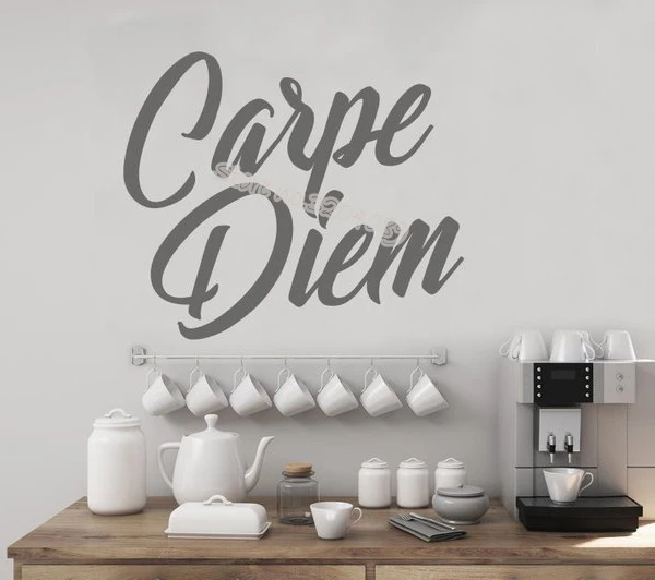 Лови момент цитаты латинский язык наклейка на стену вдохновляющие Виниловые