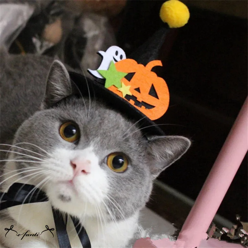 

Halloween Party Pet Supplies Decoration Cats Dogs Hat Pumpkin Headdress Pet Hair Decoration Mage Dress Up Dog Hair Clip