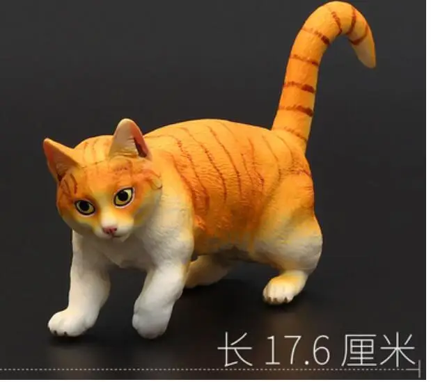Дикая природа дикие животные манманманская красная кошка манкикан кошки плато