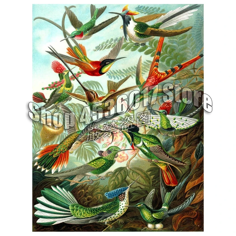 

Hummingbirds Diy Diamond Painting Cross Stitch Diamond Mosaic Diamond Embroidery Birds Animals full canvas Rhinestone Paintings