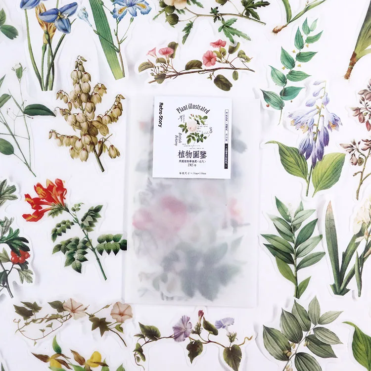 50 шт./упак. винтажные натуральные растения Цветочный дневник декоративные