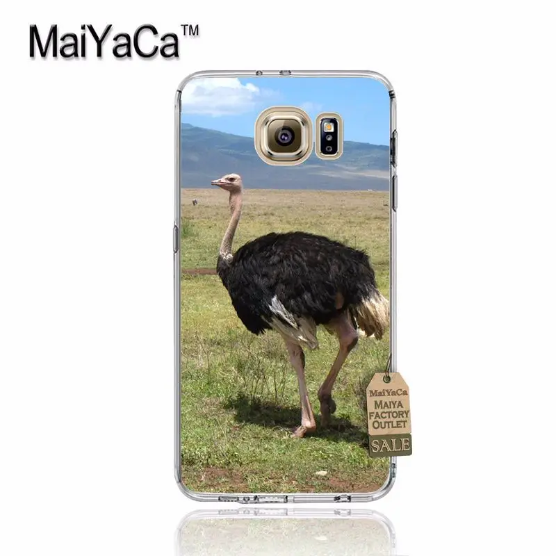 MaiYaCa Страусиная Птица Животные на продажу! Роскошный классный чехол для телефона