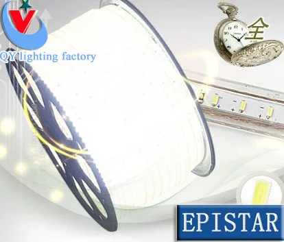 

220V SMD 3014 led strip flexible light 1m 2m 3m 4m 5m warm white/white/Blue Power plug ,120leds/m waterproof led Strips