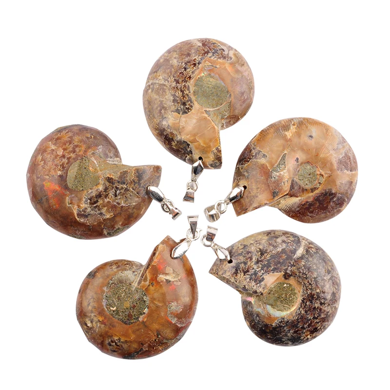 Модные ювелирные изделия натуральный аммонит осколочные ракушки морская