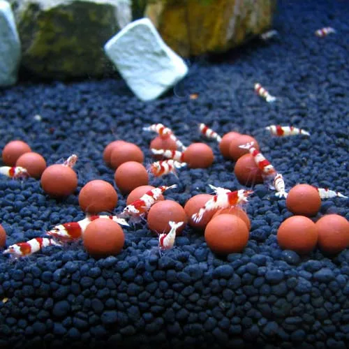 Хрустальная красная вишневая пчела аквариум из минерала турмалин долго